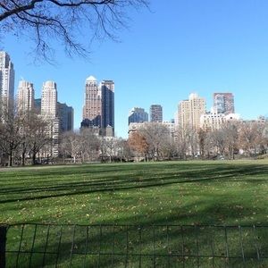 Meet your Posher, Darlene